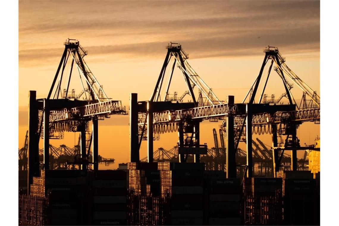 Containerumschlag im Hamburger Hafen. Foto: Christian Charisius/dpa