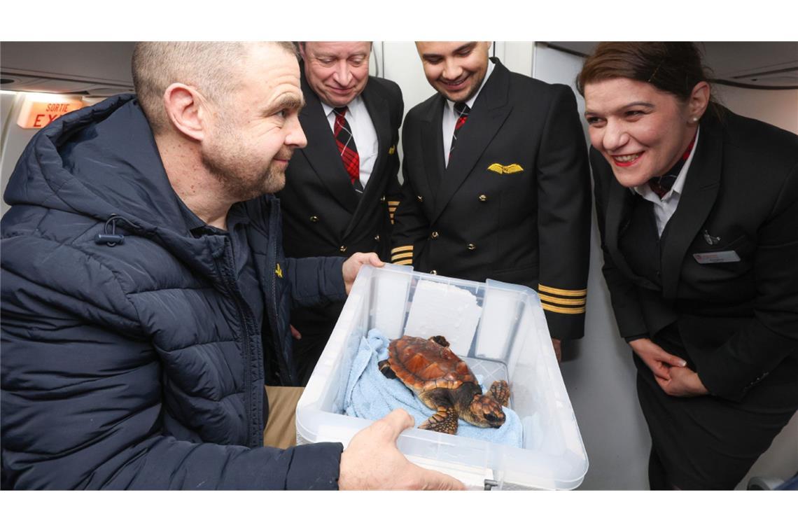 „Crush“ reist mit.