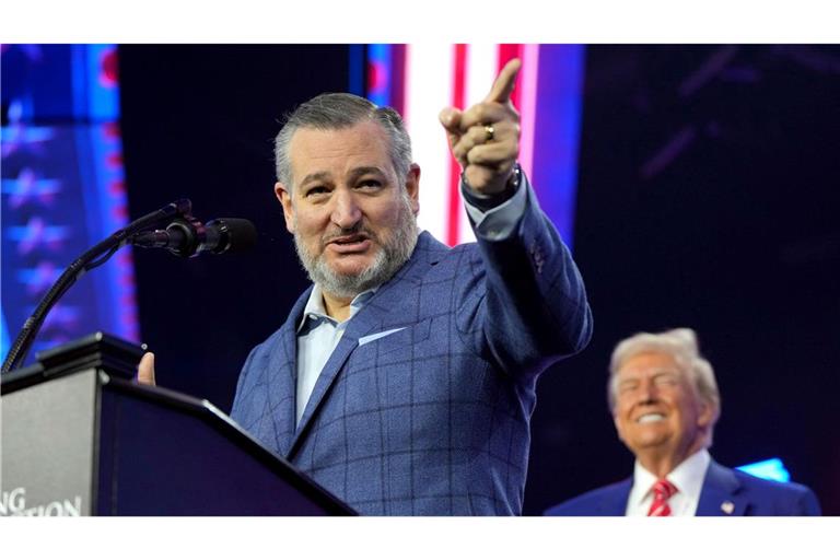 Cruz gehört eigentlich nicht zum Trump-kritischen Lager in der Partei. (Archivbild)