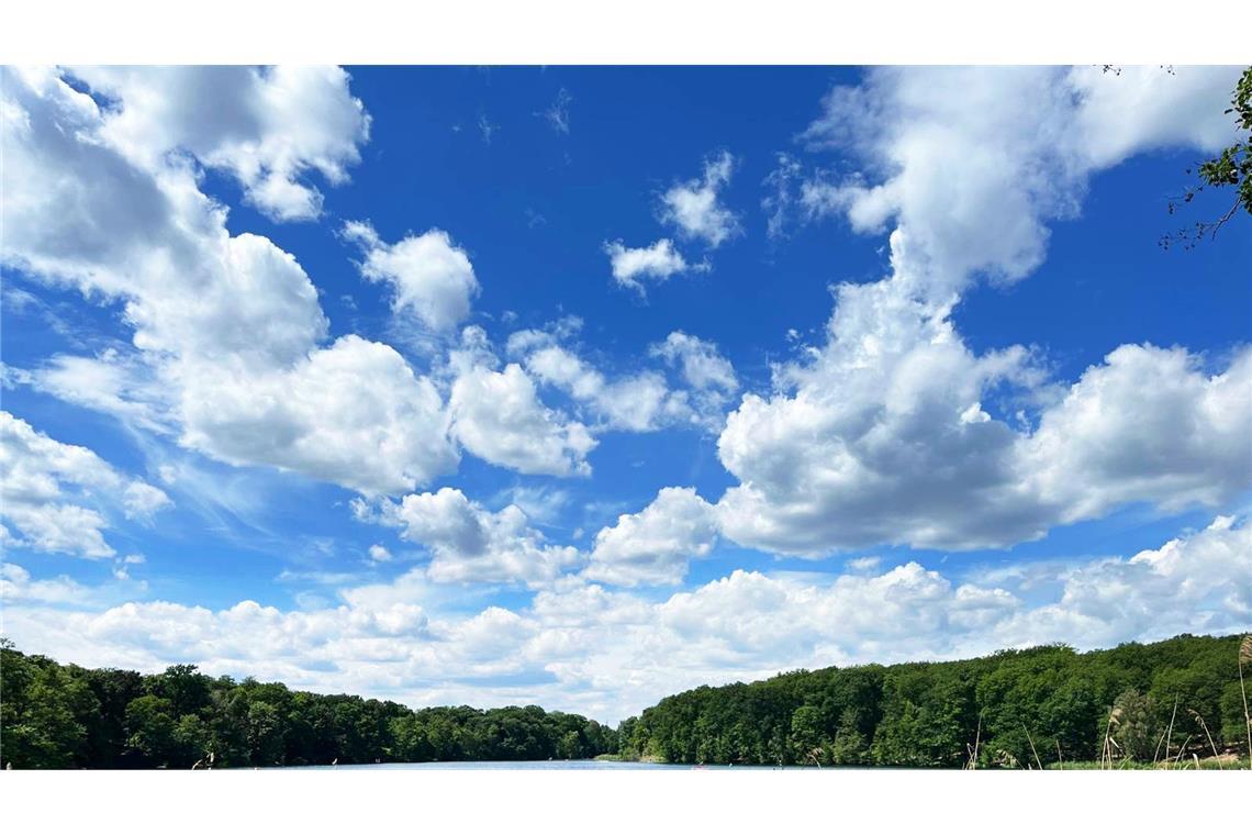 Einmal mitten in den Wolken sitzen Cumuluswolken sehen in der Ausstellung aus wie aus dem Bilderbuch.