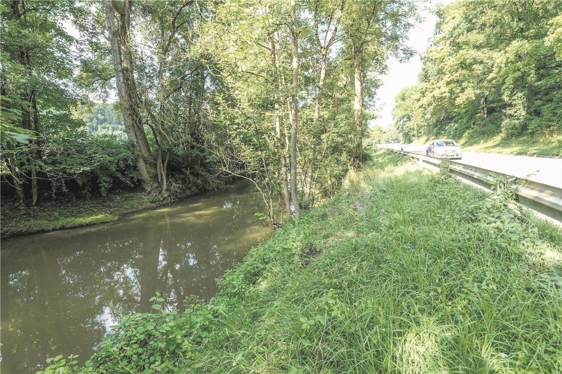 Radwegbau verzögert sich erneut Da geht es eng her: Die höher gelegene Kreisstraße verläuft nah an der Murr. Dazwischen soll der Radweg Platz finden. Archivfoto: E. Layher