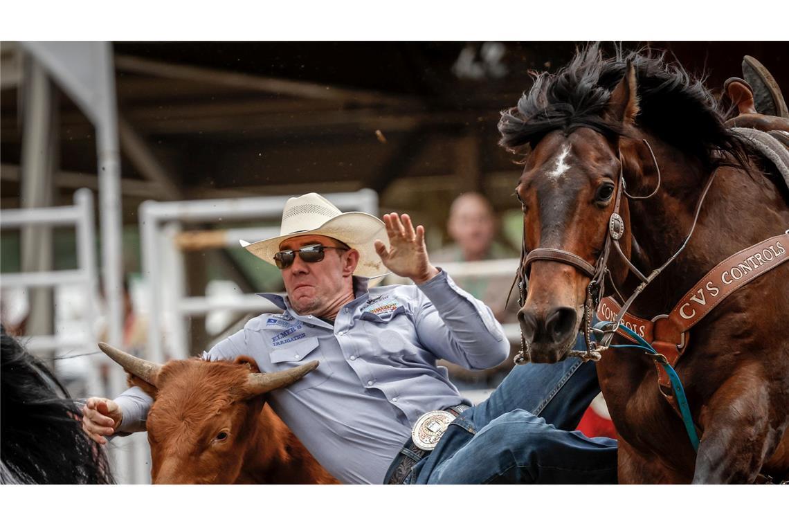 Bilder des Tages Dalton Massey aus Oregon tritt beim Rodeo-Ringen auf der Calgary Stampede in Calgary, Alberta, an.