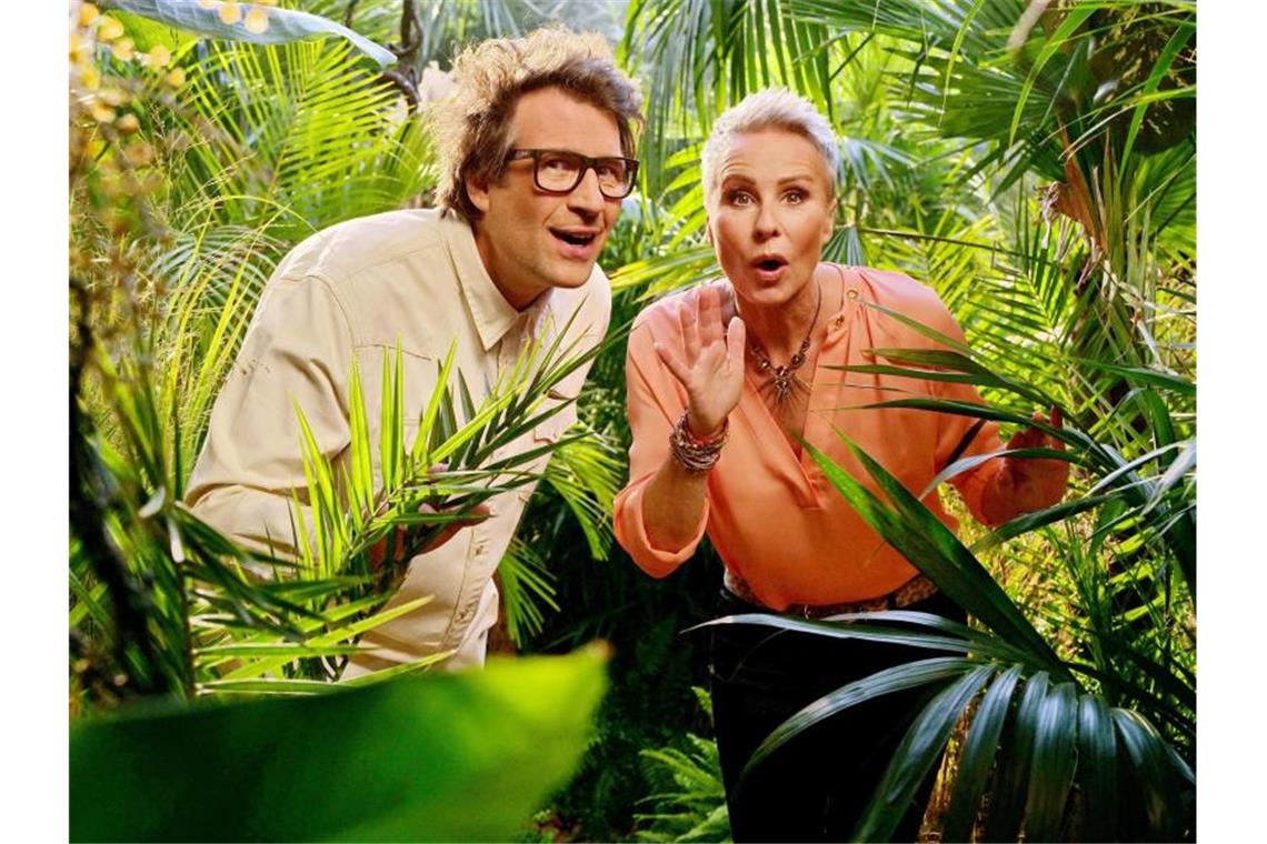 Daniel Hartwich und Sonja Zietlow moderieren das RTL-Dschungelcamp. Foto: Stefan Gregorowius/dpa