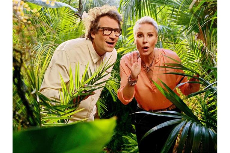 Daniel Hartwich und Sonja Zietlow moderieren das RTL-Dschungelcamp. Foto: Stefan Gregorowius/dpa