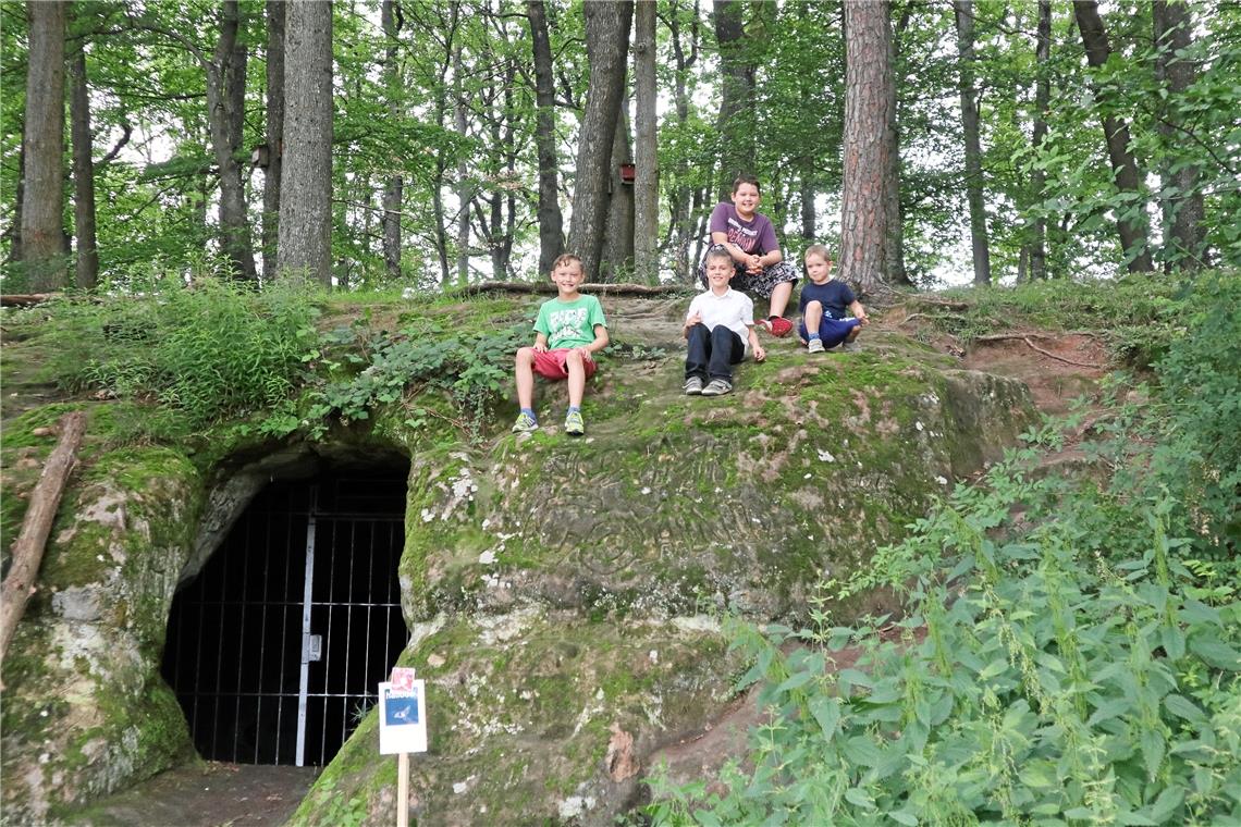 Daniel (hinten), Samuel, Simeon und Aaron (von links) machen auf ihrer Walderlebnistour Pause an der Juxhöhle. Fotos: M. Rohrmann