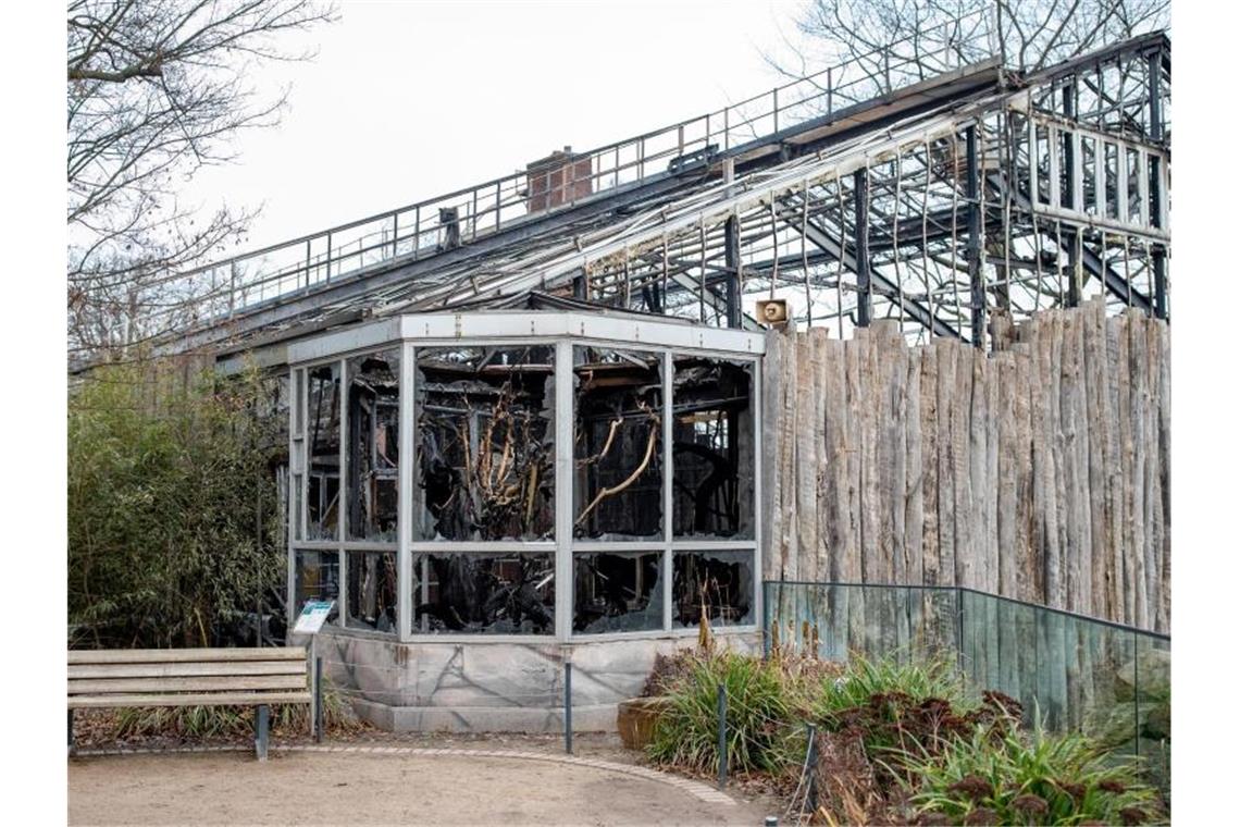 Das abgebrannte Affenhaus des Krefelder Zoos. Foto: Marcel Kusch/dpa