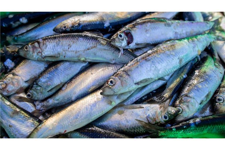 Das Abkommen soll die Fischerei nachhaltiger machen. (Symbolbild)