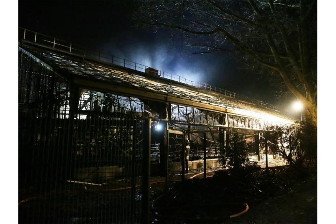 Das Affenhaus des Krefelder Zoos nach dem Brand in der Silvesternacht. Foto: David Young/dpa