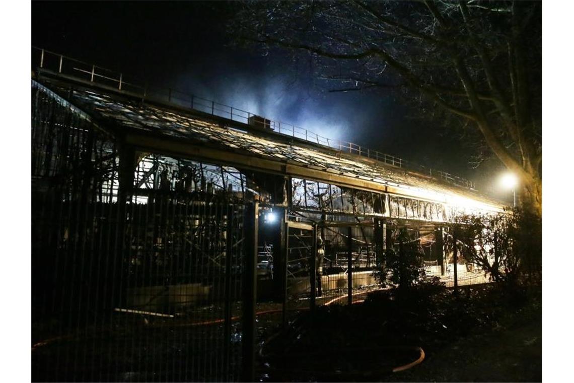 Krefelder Zoo nach Brand in Affenhaus wieder geöffnet Das Affenhaus des Krefelder Zoos nach dem Brand in der Silvesternacht. Foto: David Young/dpa