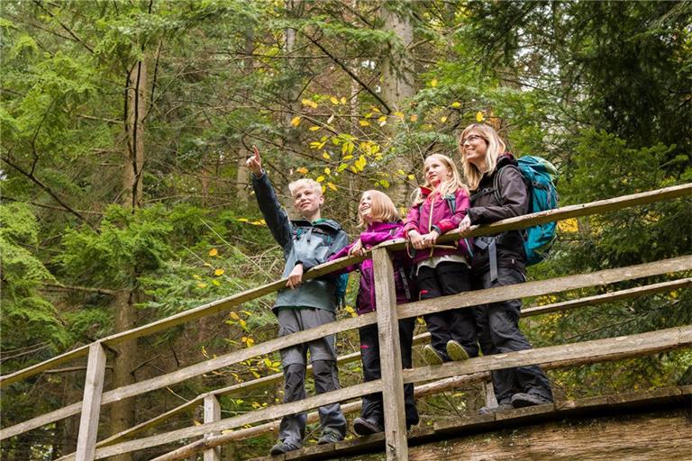 Das Arboretum mit seinen zum Großteil fremdländischen Baumarten ist im Kreis fast einzigartig. Foto: Schwäbischer Wald Tourismus