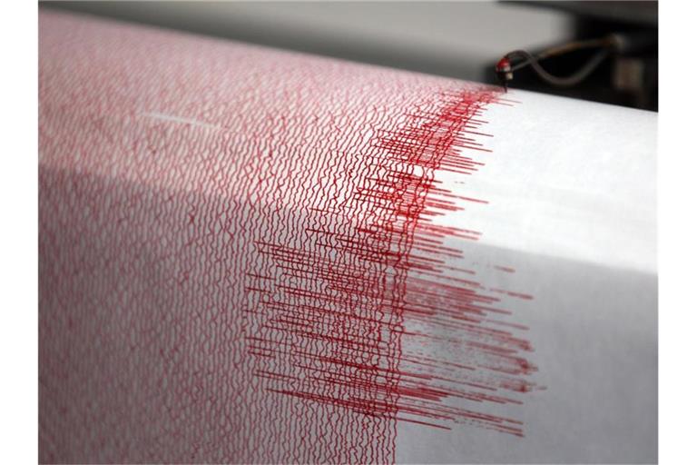 Das Archivfoto zeigt einen Seismograph, der Ausschläge bei einem Erdbeben misst. Foto: Oliver Berg/dpa