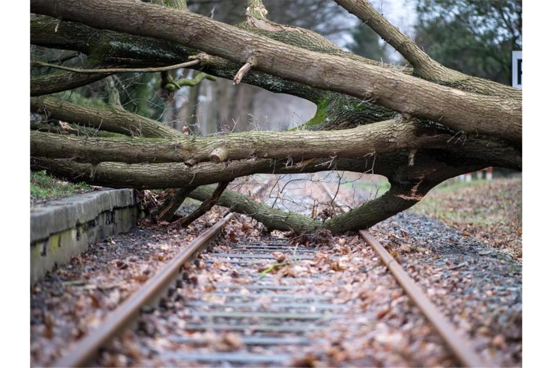 Das Archivfoto zeigt einen umgestürzten Baum auf einem Bahngleis in Münster. Foto: Guido Kirchner/dpa
