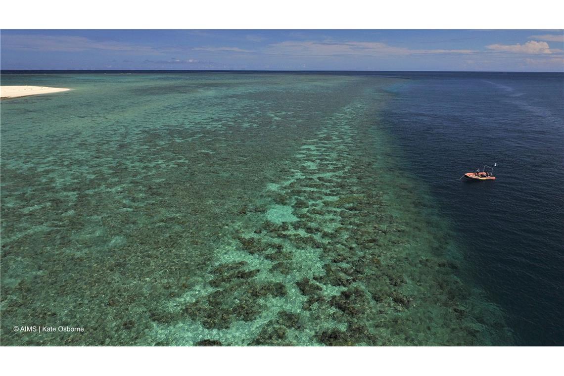 Riff am Limit: Great Barrier Reef verliert massiv Korallen Das Australian Institute of Marine Science (AIMS) untersucht das Great Barrier Reef seit vielen Jahren.