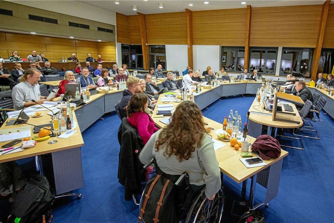 Das Backnanger Gremium setzt sich intensiv mit dem Haushalt auseinander. In der bestehenden Zusammensetzung war es das erste Mal. Foto: A. Becher