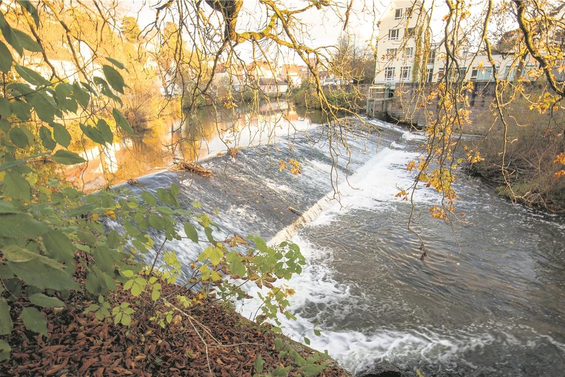 Das Biegelwehr wird im nächsten Sommer zu einer rauen Rampe umgebaut.