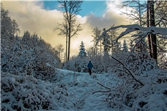 Das Bild einer Winterwanderung von Friederike Dorn hat schon viele Likes gesammelt.