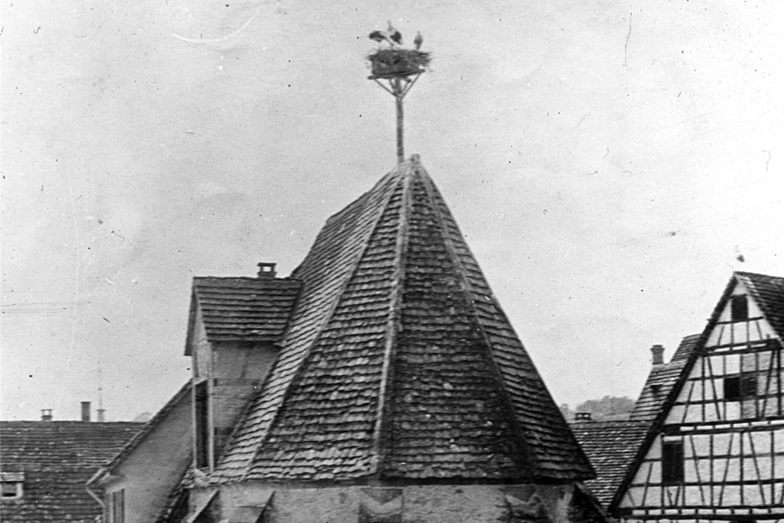 Aus dem Kirchenschiff wird ein Wohnhaus Das Bild mit den Störchen ist in den 1910er-Jahren entstanden.
