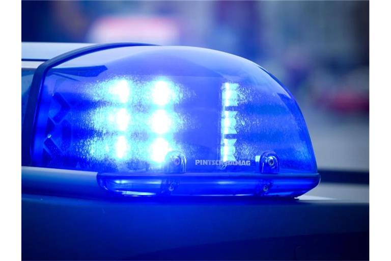 Das Blaulicht an einem Polizeiauto leuchtet. Foto: Patrick Pleul/Archivbild