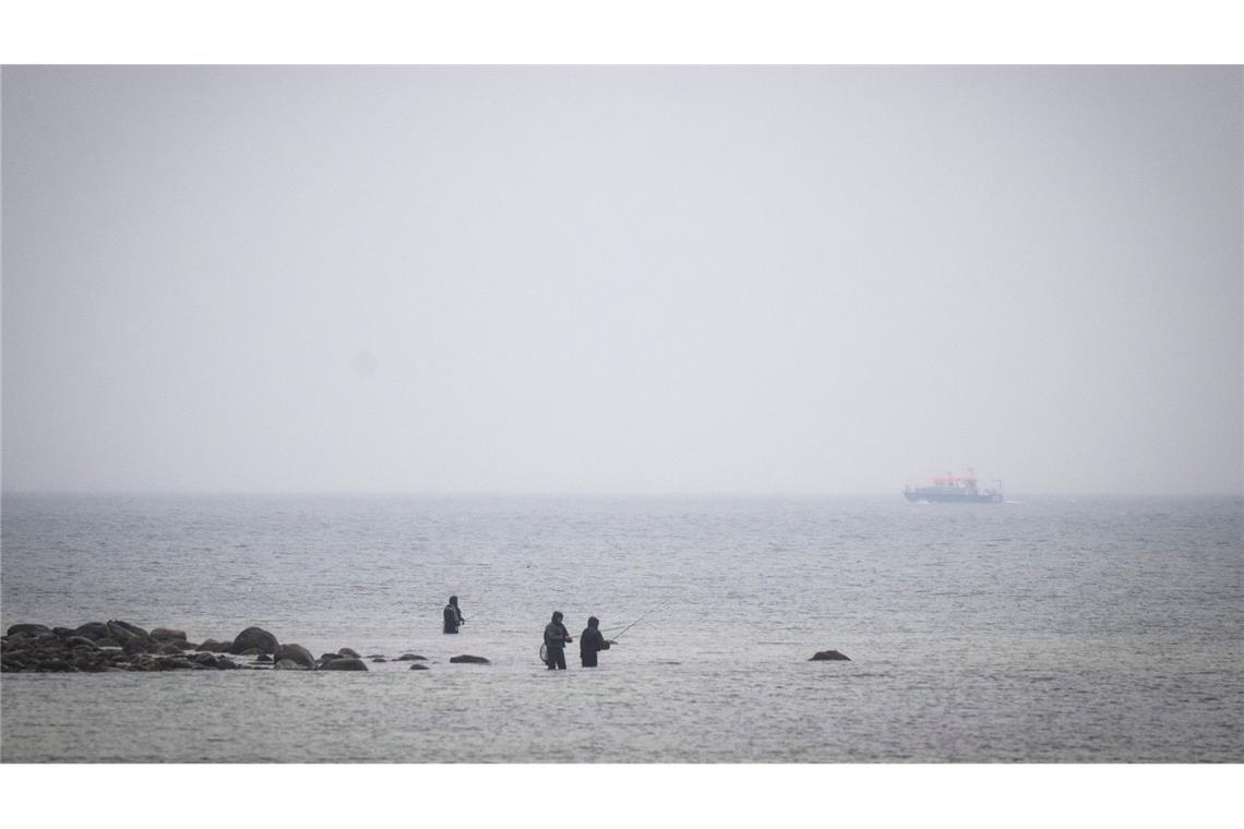 Das Boot "Uecker" von der Wasserschutzpolizei suchte den Wal am Samstag an der Ostseeküste.