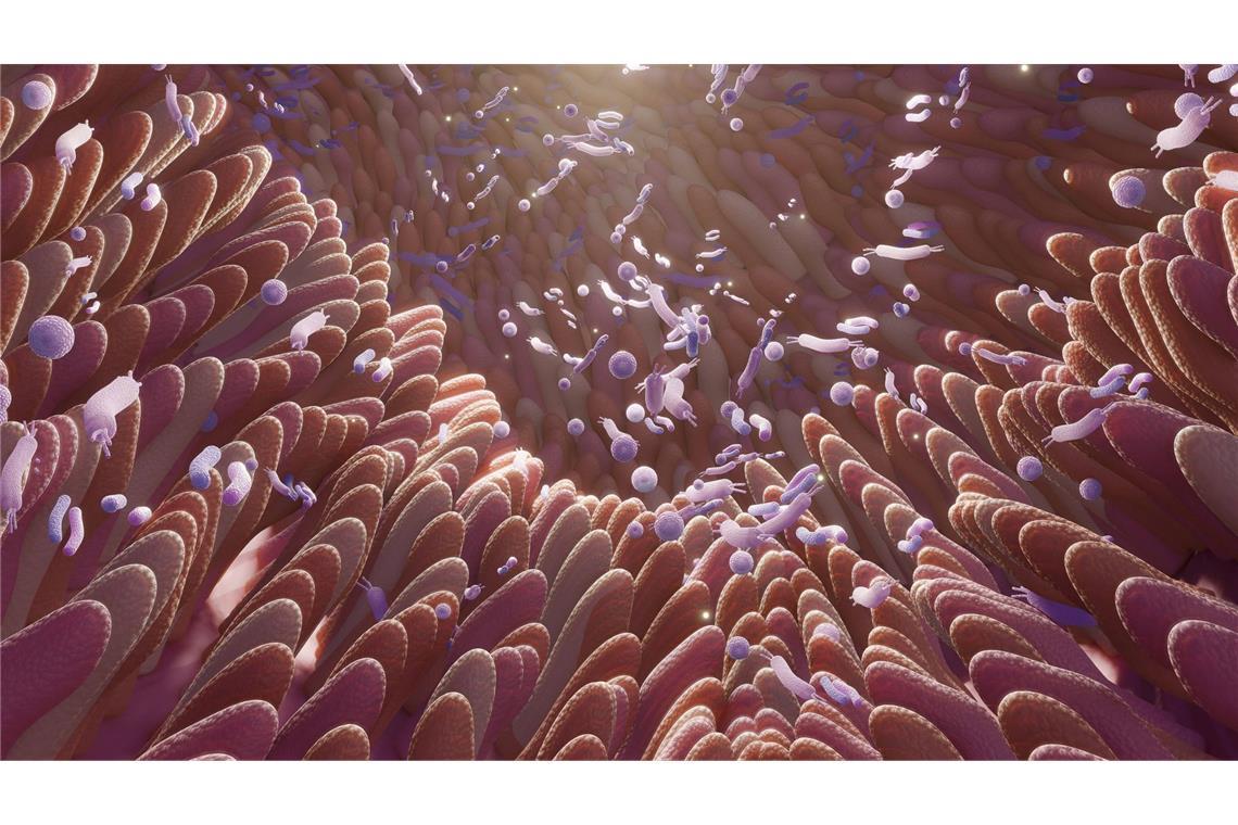 Das Darm-Mikrobiom ist ein natürlicher Schutz, das durch Antibiotika gestört werde kann, mit denen bei einer Therapie das Wachstum krankheitserregender Bakterien gehemmt werden soll.