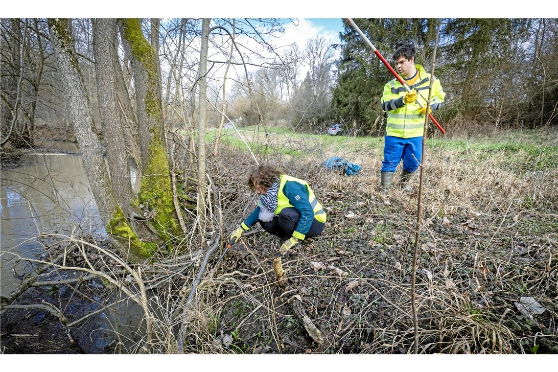 Flurputzete in Backnang: Reinemachen mit Gemeinschaftsfaktor Das Duo zieht Müll am Ufer der Weißach bei Sachsenweiler aus dem Gehölz. Es hat auch eine Vermessungsstange gefunden.