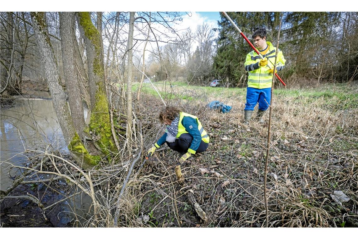 Das Duo zieht Müll am Ufer der Weißach bei Sachsenweiler aus dem Gehölz. Es hat auch eine Vermessungsstange gefunden.