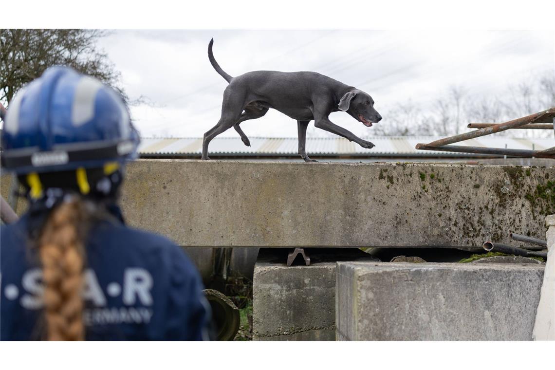 Das Erdbeben sei am Dienstag gegen 18.30 Uhr registriert worden (Symbolbild).