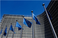 Das EU-Parlament hat eine Bargeldobergrenze beschlossen.