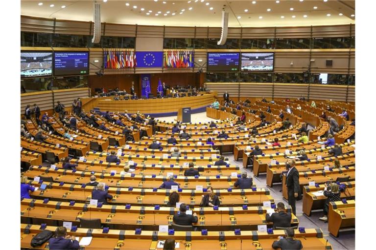 Das Europaparlament entscheidet darüber, wie beim geplanten Just Transition Fund die Gelder verteilt werden sollen. Foto: Olivier Matthys/AP/dpa