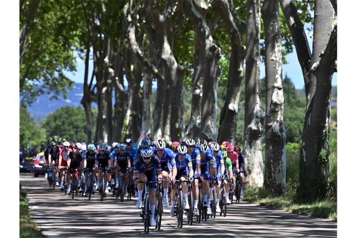 Eddy Merckx muss teilen: Cavendish stellt Uralt-Rekord ein Das Fahrerfeld während der 13. Etappe. Foto: David Stockman/BELGA/dpa