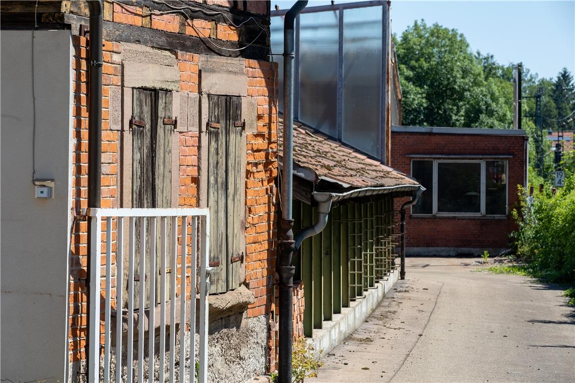 Das Foto zeigt die vielen unbekannte Rückansicht der Gebäude Eugen-Adolff-Straße 26 bis 28. Bis 10. September reißen die Bagger alles nieder, das Sortieren des Bauschutts dauert dann nochmals viel länger, aber dafür wird keine Straßensperrung mehr benötigt. Foto: A. Becher