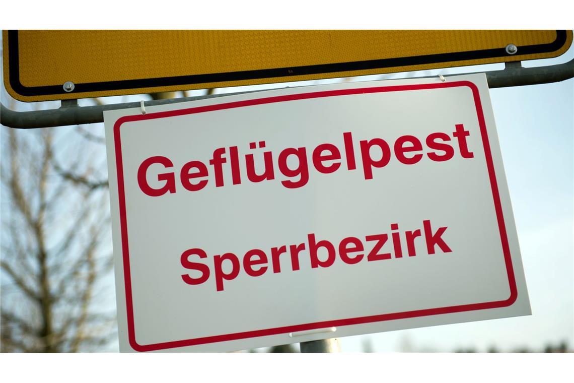 Das Friedrich-Loeffler-Institut für Tiergesundheit rechnet mit einem Andauern der Geflügelpest und einer Ausdehnung auch weiter nach Süden. (Illustration)
