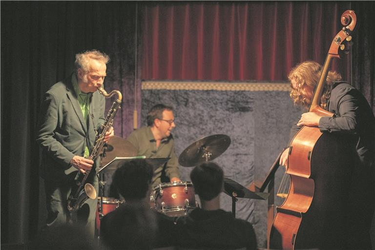 Das Fusk-Trio bescherte dem Publikum einen Abend mit viel Jazz und Swing. Foto: A. Becher