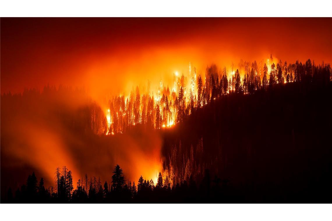 Das "Garnet Fire" bedroht Riesenmammutbäume im Waldgebiet McKinley Grove.