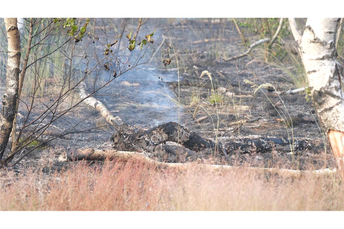 Erneut Waldbrand in der Gohrischheide ausgebrochen
