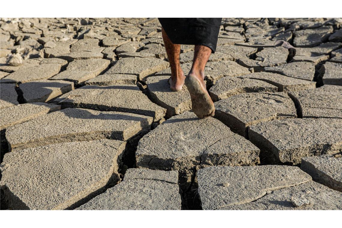 Alltag ohne Wasser: Blick in austrocknende Weltregionen Das Gebiet um den Euphrat gilt als Wiege der Zivilisation - und vertrocknet.
