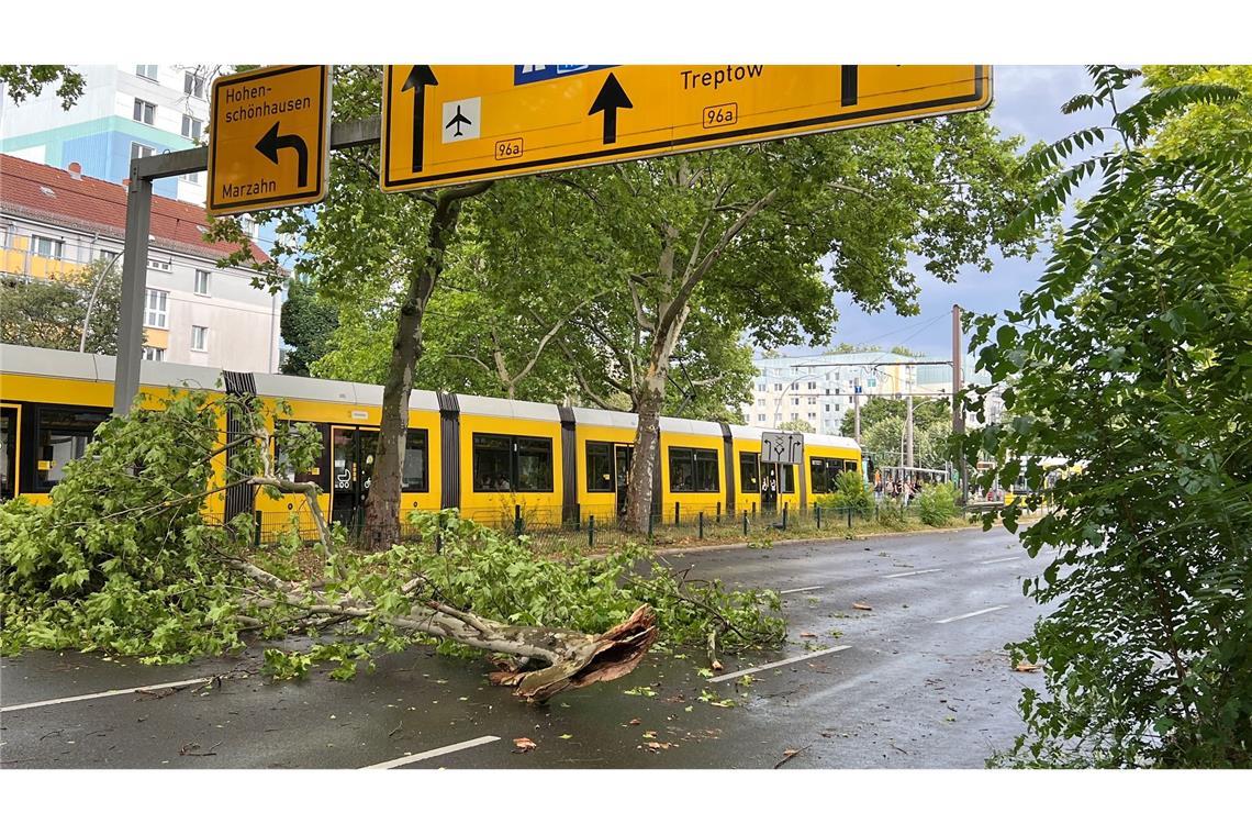 Nach Sturm-Chaos: Bahn-Verkehr in Berlin weiter gestört Das gesamte Stadtgebiet war den Angaben nach betroffen - hier abgebrochene Äste im Prenzlauer Berg.