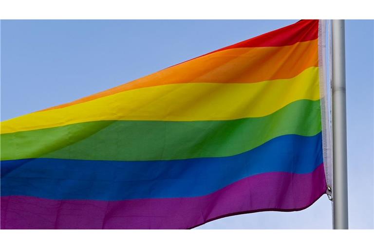 "Das gesellschaftliche Klima gegen queere Menschen hat sich im letzten Jahr nochmal deutlich verschärft", sagt Mara Geri vom Bundesvorstand des Lesben- und Schwulenverbands.