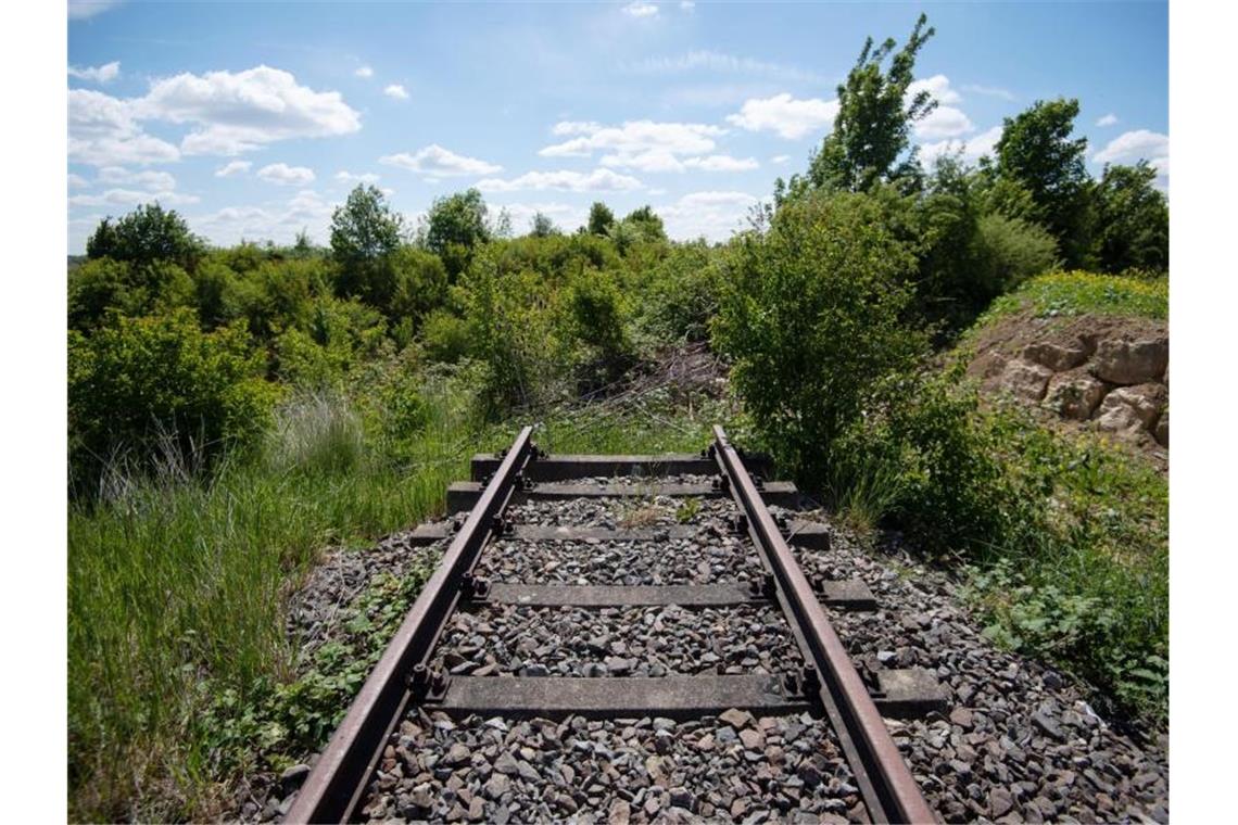 Das Gleis der stillgelegten Bahnstrecke zwischen Ludwigsburg und Markgröningen. Foto: Marijan Murat/Archivbild