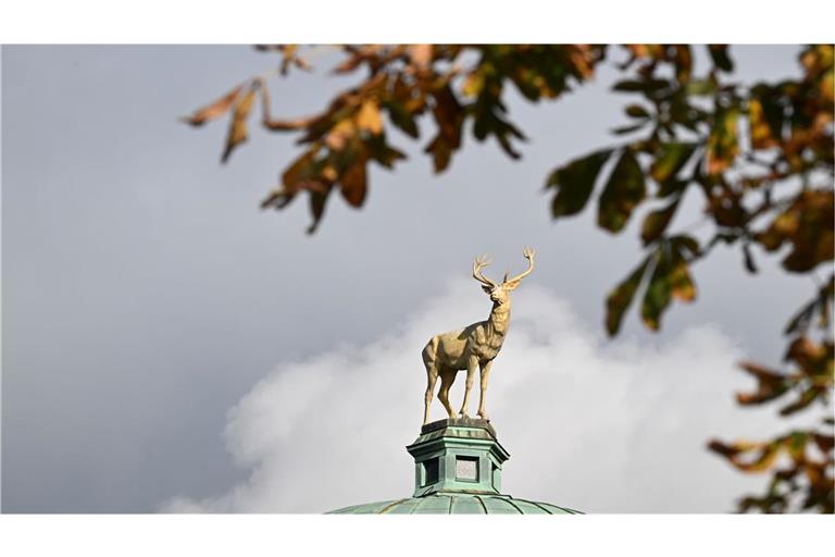 Heitere Tage, kalte Nächte –  und am Wochenende wird’s trüb Das goldene Herbstwetter nochmal ausnutzen, bevor es unangenehm wird.
