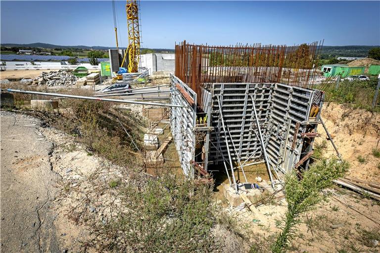 Das Gras sprießt, das Unkraut wuchert: An diesem Teil der Baustelle hat sich seit dem vergangenen Jahr nichts getan. Foto: Alexander Becher