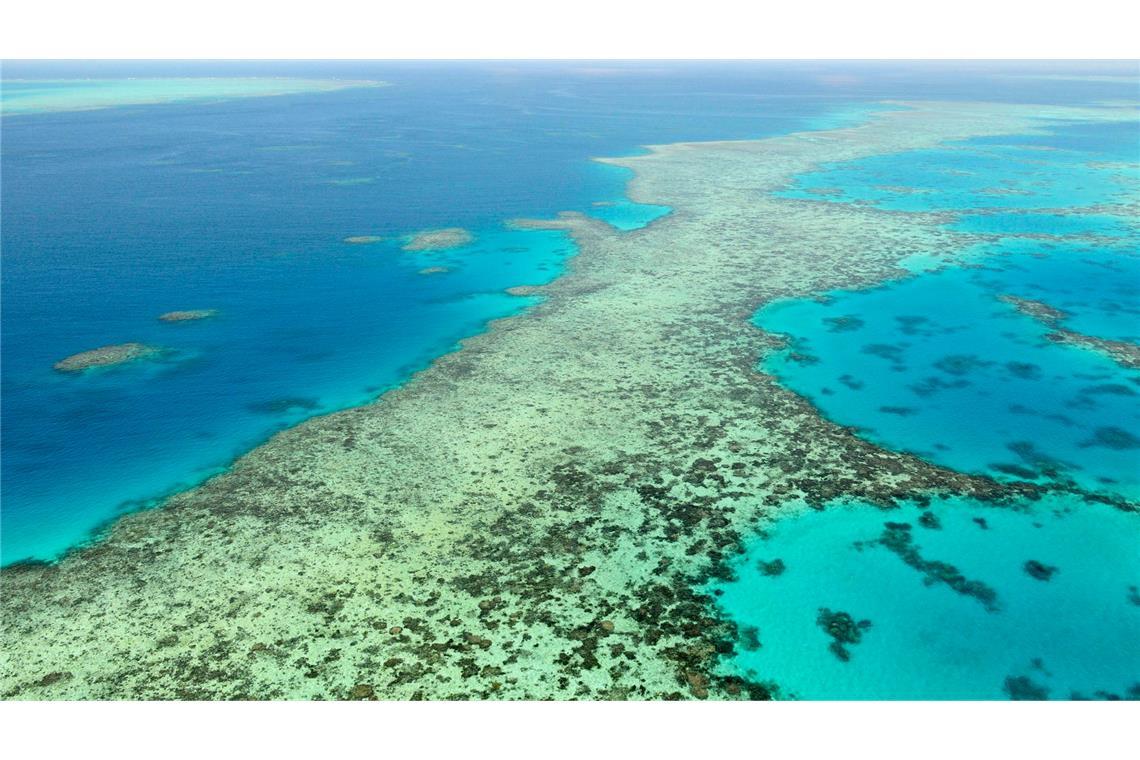 Das Great Barrier Reef in Australien. (Archivbild)