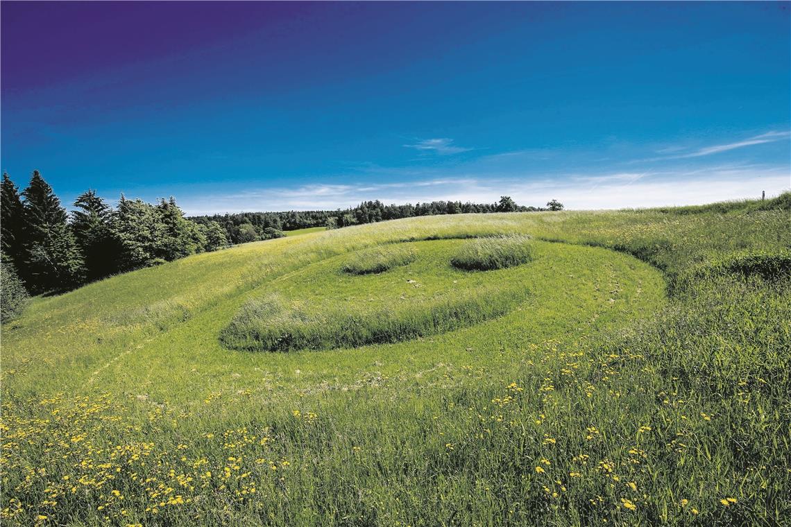 Wonnemonat in diesem Jahr zu kühl Das gute Wetter Ende des Monats zauberte sogar dem Gras auf einer Wiese zwischen Sechselberg und Fautspach ein Lächeln auf das grüne „Gesicht“. Foto: A. Becher