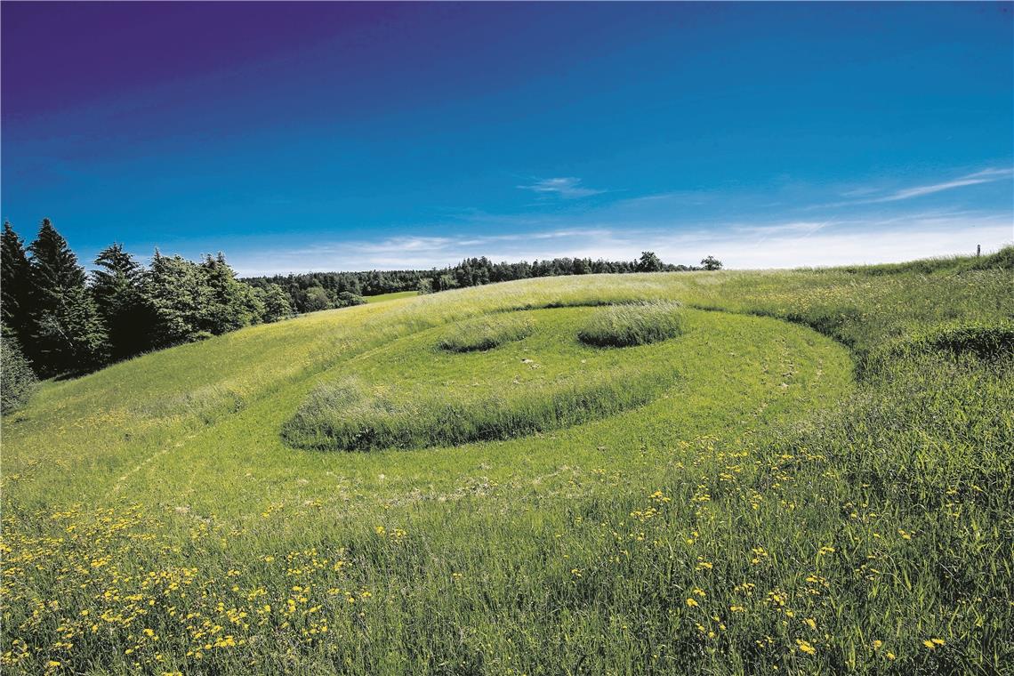 Das gute Wetter Ende des Monats zauberte sogar dem Gras auf einer Wiese zwischen Sechselberg und Fautspach ein Lächeln auf das grüne „Gesicht“. Foto: A. Becher