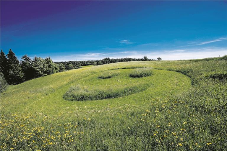 Das gute Wetter Ende des Monats zauberte sogar dem Gras auf einer Wiese zwischen Sechselberg und Fautspach ein Lächeln auf das grüne „Gesicht“. Foto: A. Becher