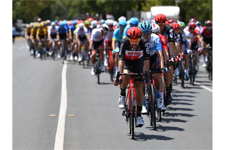 Das Hauptfeld bei der ersten Etappe der Tour Down Under. Foto: David Mariuz/AAP/dpa