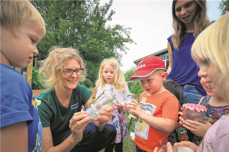 Das Heupferd im Glas von Michaela Genthner ist eine der eindrucksvollsten Entdeckungen, die die Kinder auf der Streuobstwiese bei der Grundschule in Oberweissach gemacht haben. Alle eingefangenen Insekten und Spinnen wurden zum Schluss in die Natur zurückgegeben. Foto: A. Becher