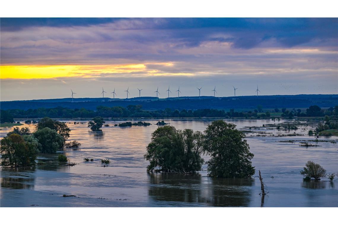 Jahrhunderthochwasser: Vier Bundesländer extrem gefährdet Das Hochwasserrisiko ist in vielen Bundesländern hoch – wie hier in Brandenburg 2024. (Symbolbild)