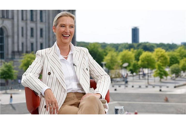 Das Interview mit Alice Weidel wurde massiv gestört.