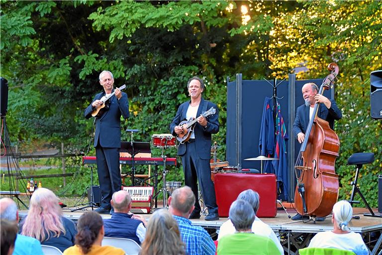 Das Jazz-Trio Berta Epple in Oppenweiler (von links): Karl Albrecht „Bobbi“ Fischer, Gregor Hübner und Veit Hübner. Foto: Tobias Sellmaier
